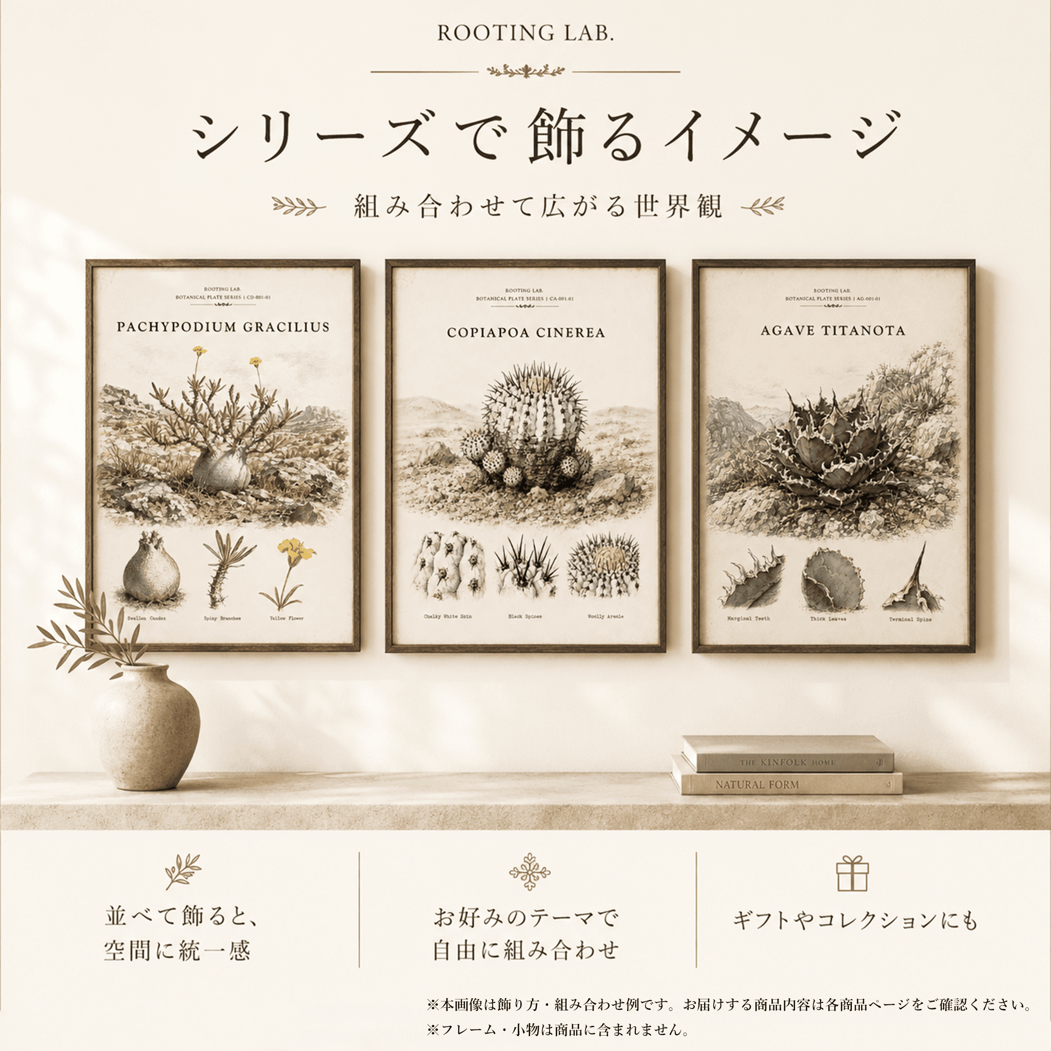ユーフォルビア ムランジーナ｜A4ポスター｜塊根植物の図鑑風イラスト 自然史アート | 7枚目