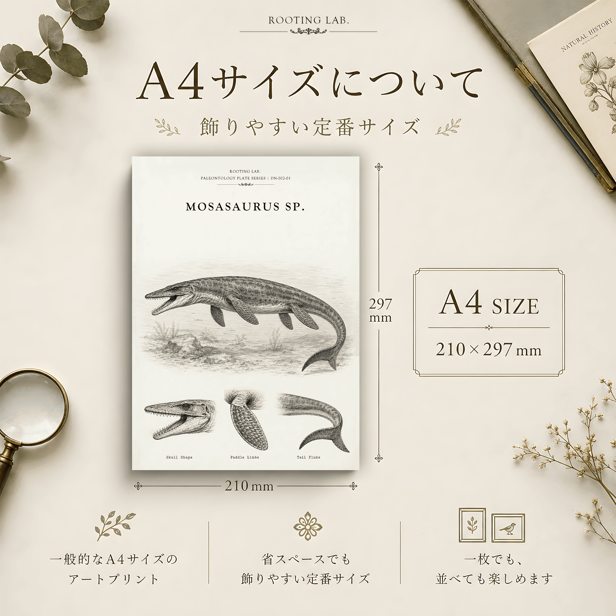 モササウルス|A4ポスター|化石古生物の図鑑風イラスト 自然史アート | 2枚目