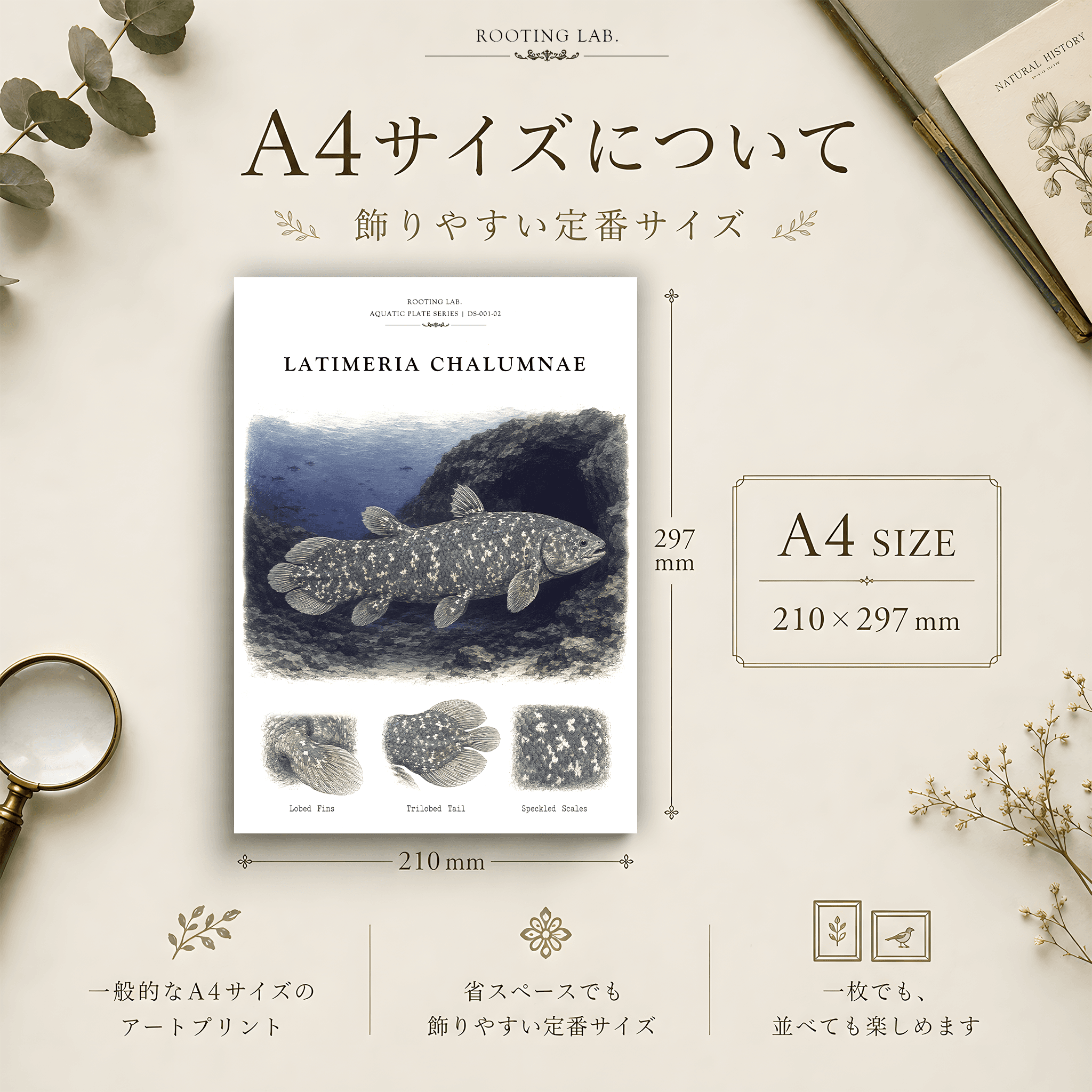 アフリカ シーラカンス|A4ポスター|古代魚の図鑑風イラスト 自然史アート | 2枚目