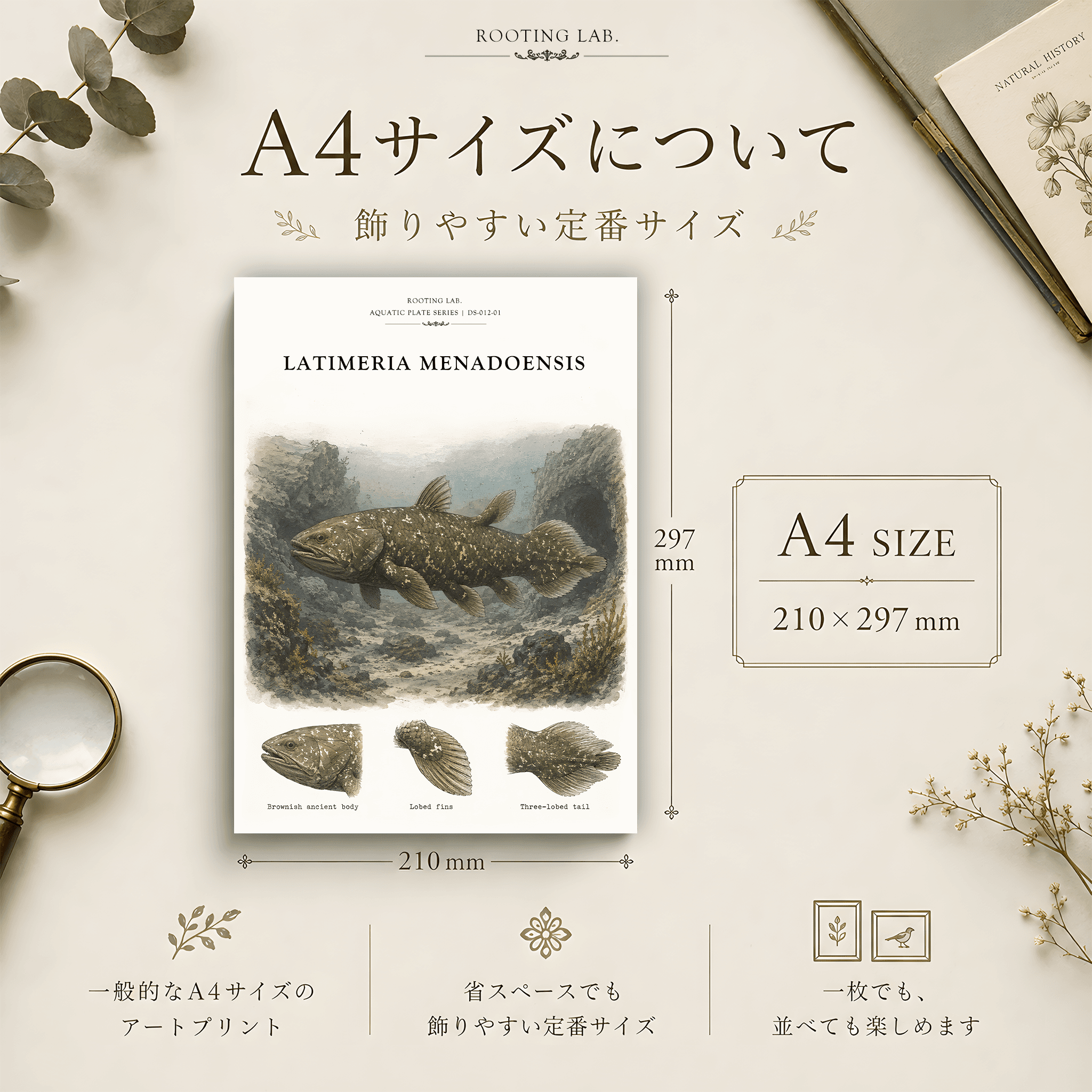 インドネシア シーラカンス|A4ポスター|古代魚の図鑑風イラスト 自然史アート | 2枚目