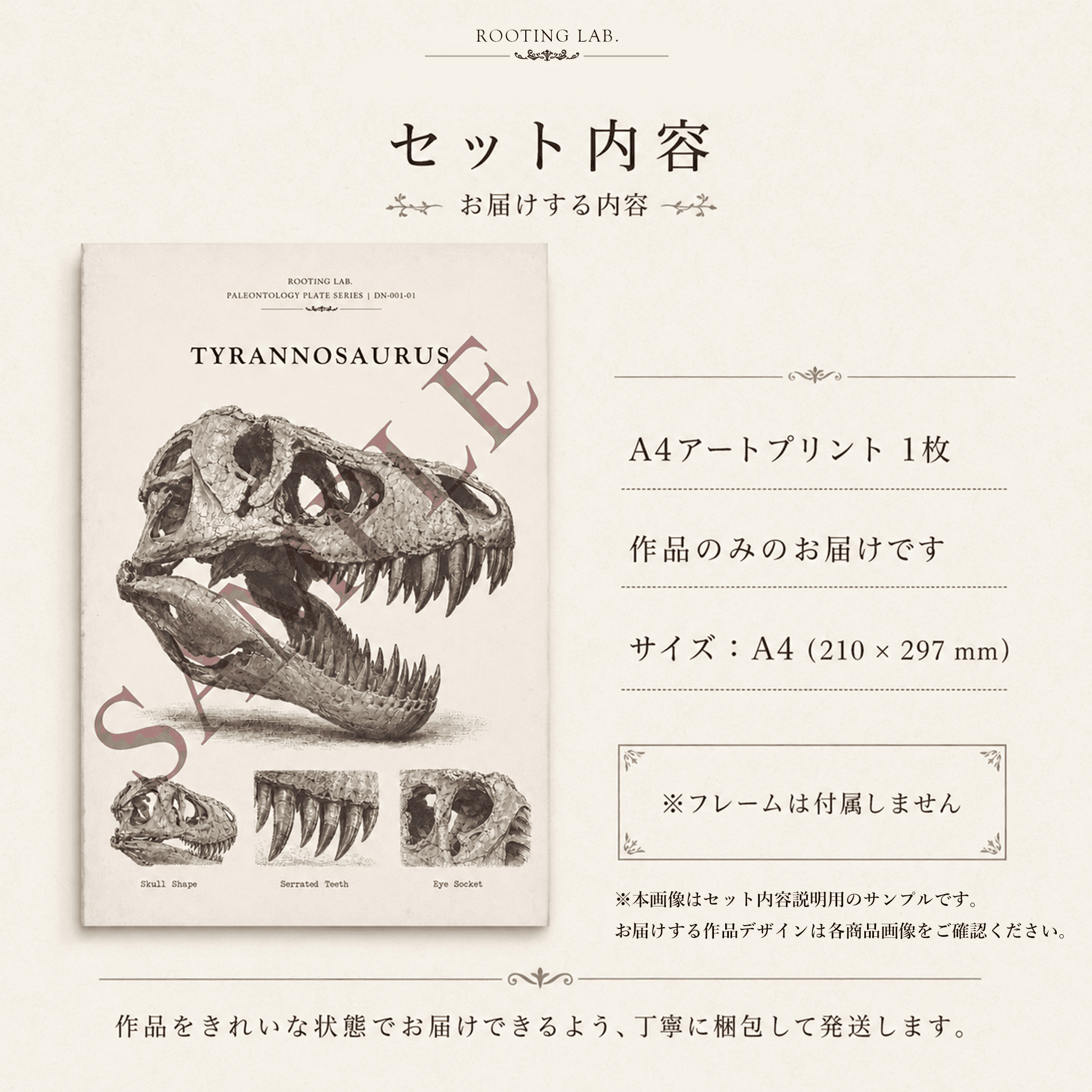 ベタ|A4ポスター|熱帯魚の図鑑風イラスト 自然史アート | 5枚目